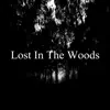 The Bapor Beats, Danyel Beats & Molife - Lost in the Woods